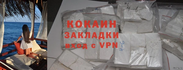 сатива Коряжма
