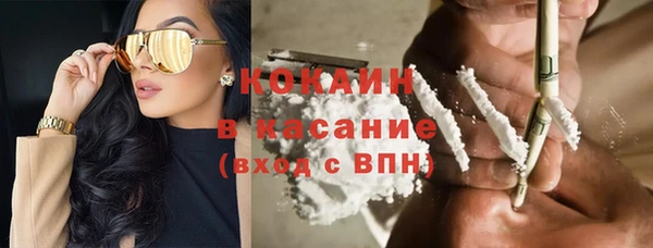 сатива Коряжма