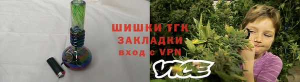 амф Корсаков
