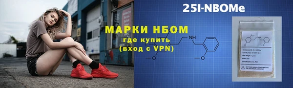 сатива Коряжма
