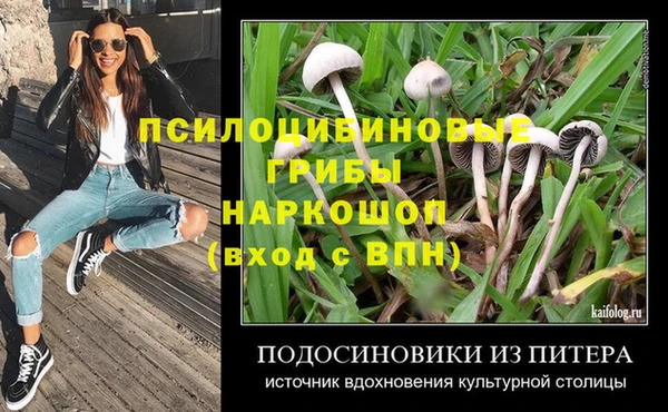 амф Корсаков
